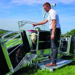 Bateman Sheep Grip jalgpedaalfiksaator lammastele — üldvaade