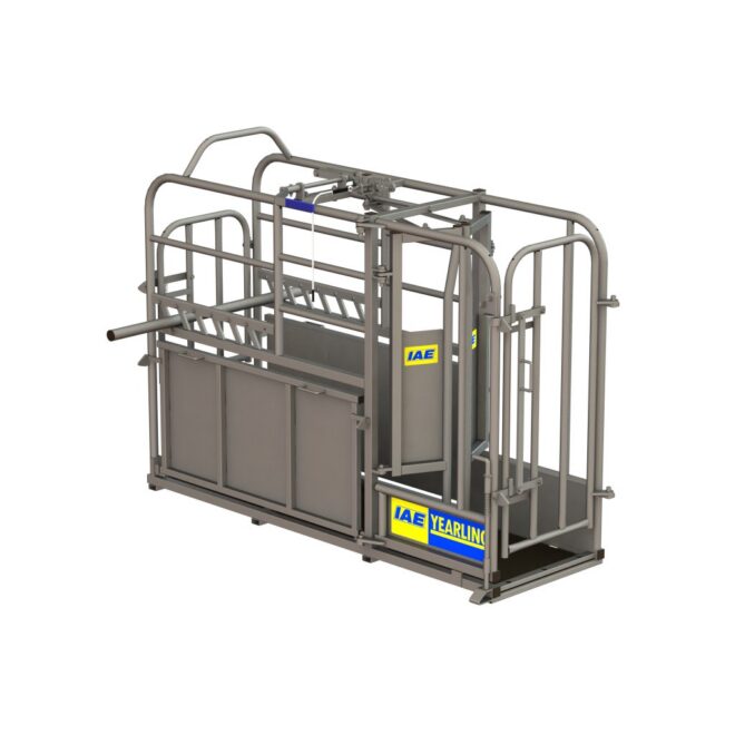 IAE Yearling fikseerimispuur 3D render