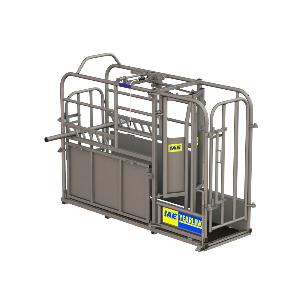 IAE Yearling fikseerimispuur 3D render IAE Yearling fikseerimispuur 3D render