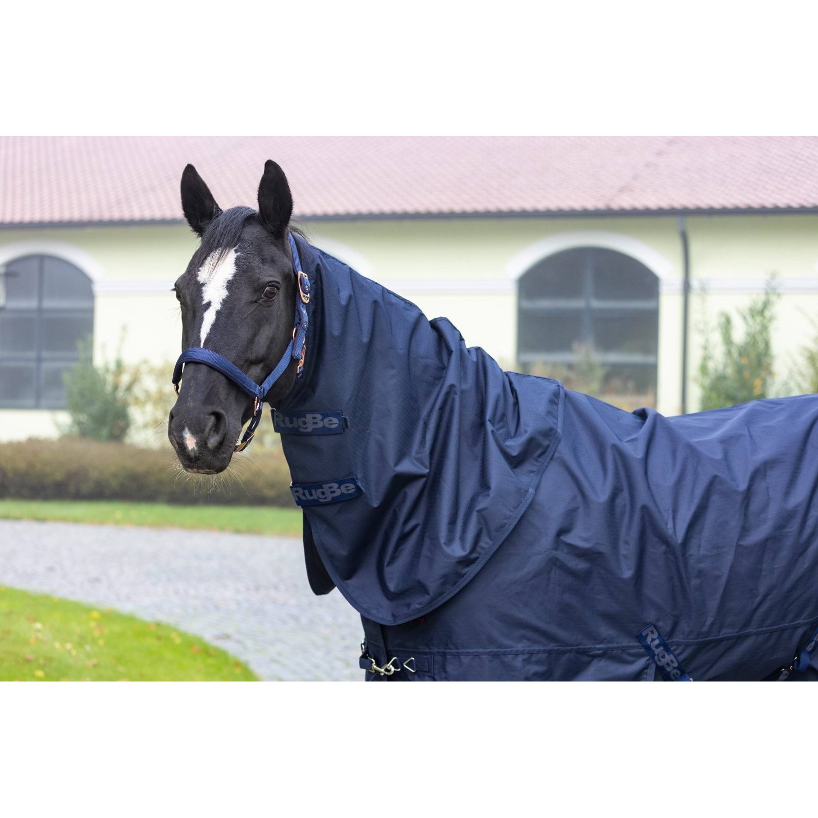 kerbl-3226355-g3 Covalliero RugBe Zero kaelaosa, M, tumesinine – pilt 4