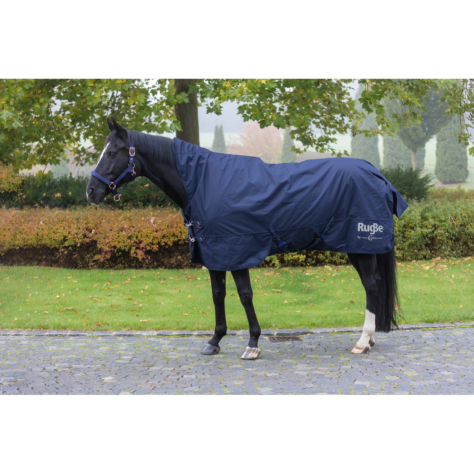 kerbl-3226357-g2 Covalliero RugBe HighNeck välitekk, tumesinine, 105 cm – pilt 3