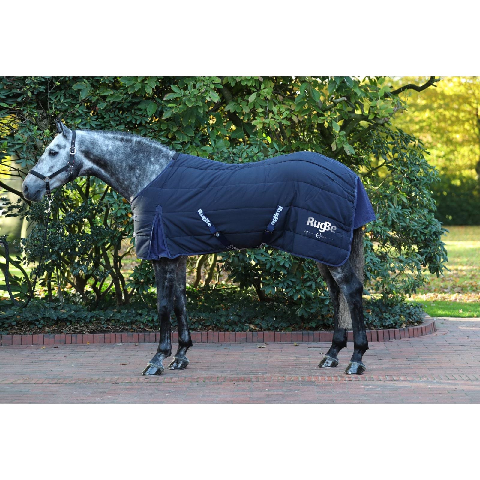 kerbl-3226382-g2 Covalliero RugBe Indoor tallitekk, 105 cm, sinine – pilt 3