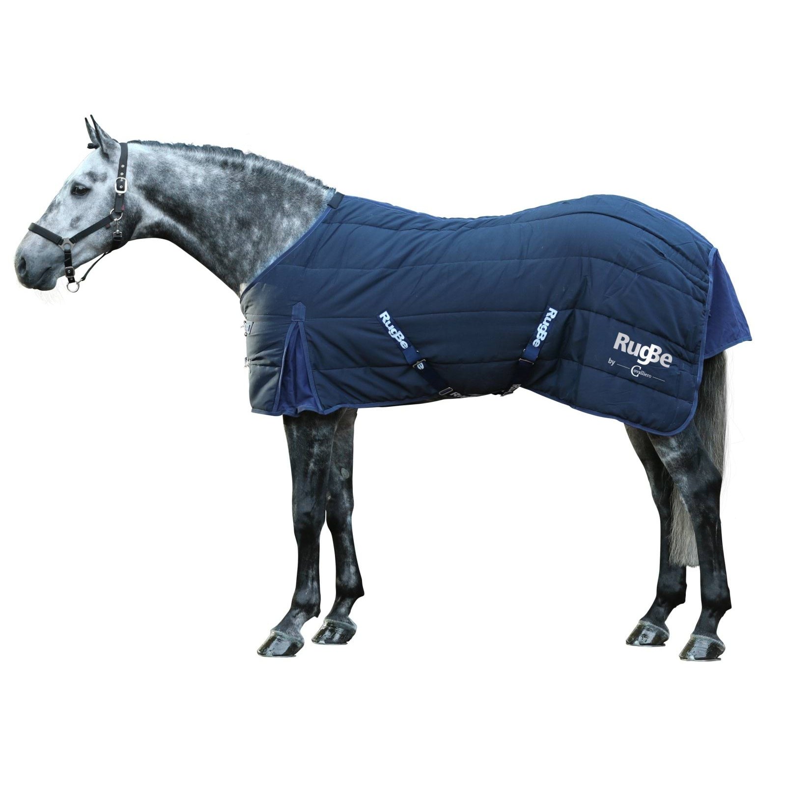 kerbl-3226382-g6 Covalliero RugBe Indoor tallitekk, 105 cm, sinine – pilt 7