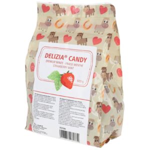 Delizia Candy Strawberry/Mint 600 g