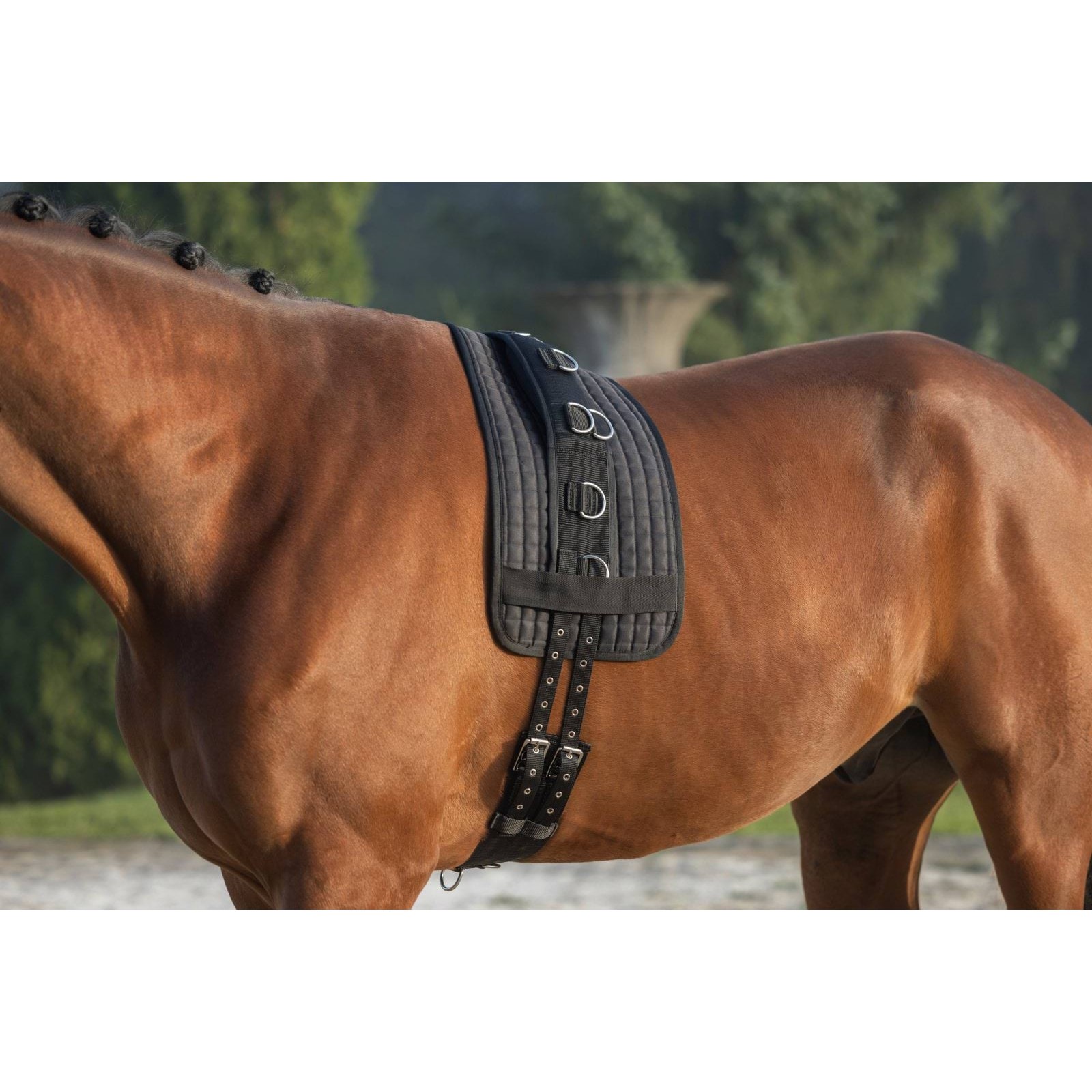 kerbl-3228168-g1 Covalliero kordepadi, must – pilt 2