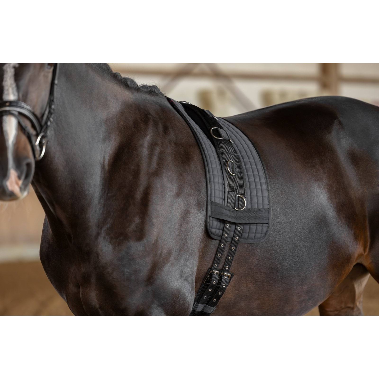 kerbl-3228168-g3 Covalliero kordepadi, must – pilt 4