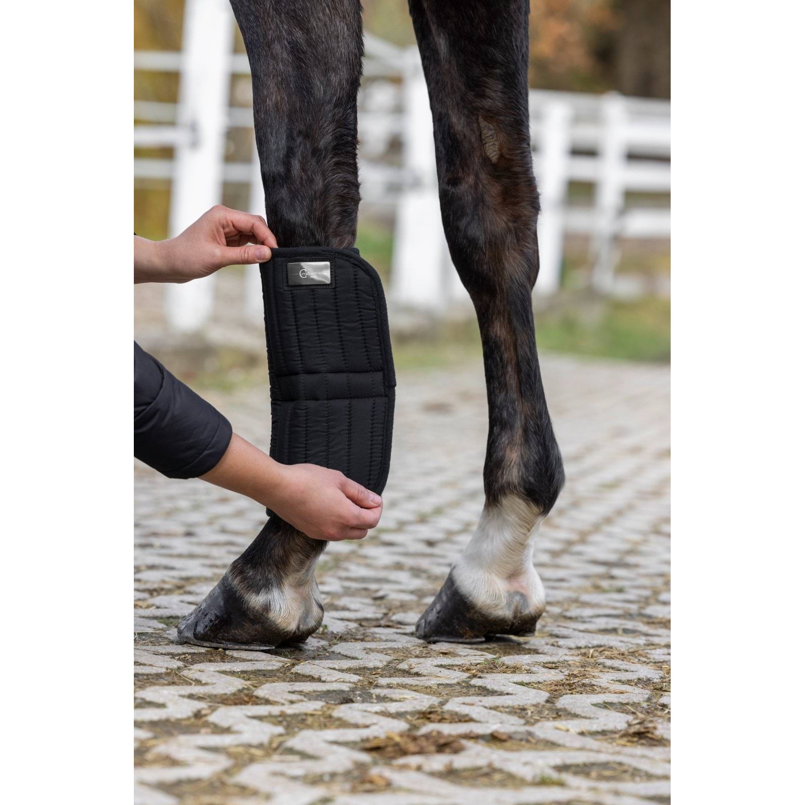 kerbl-3228247-g1 Covalliero Therm külgvoodrid, paar, must, 49 x 48 x 2 – pilt 2