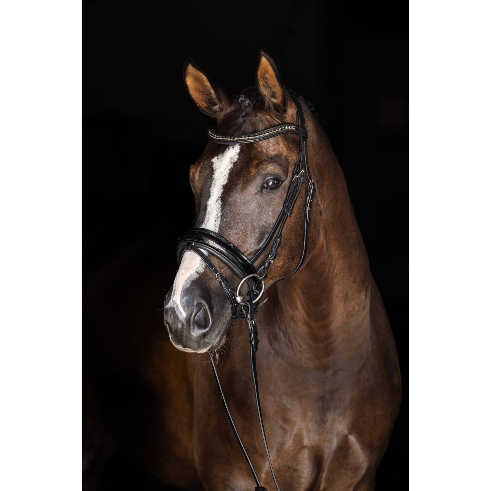 kerbl-3230205-1 Swedish noseband, black lacquered, Pony, Covalliero