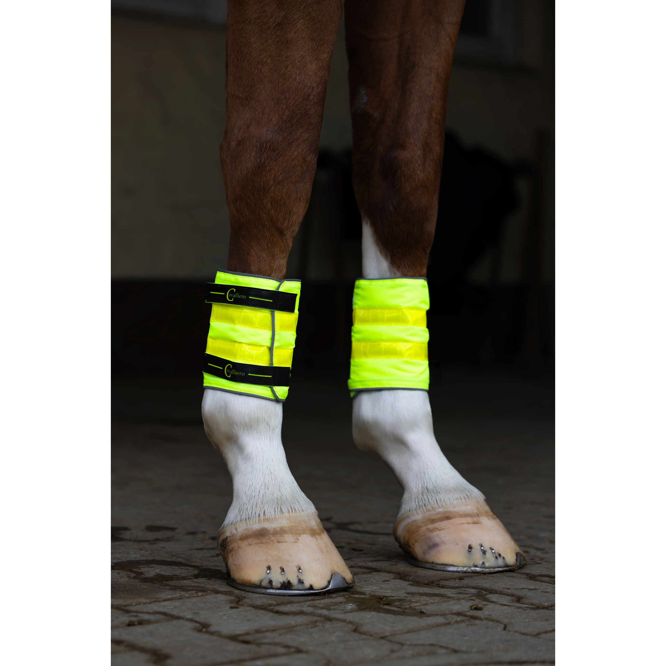 kerbl-3232448-g1 Covalliero helkurkaitsmed – pilt 2