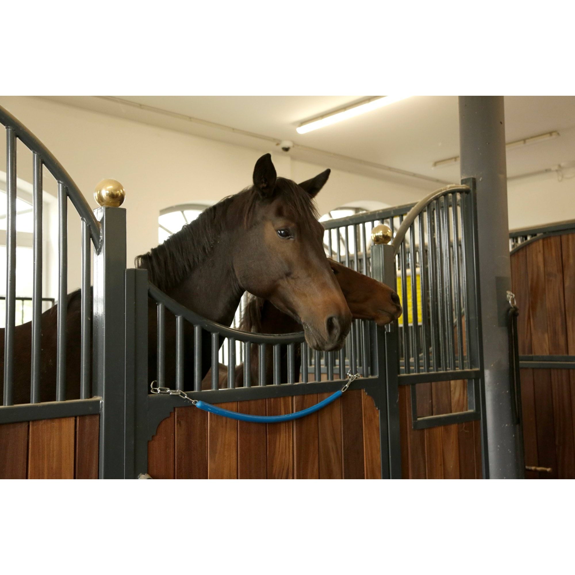kerbl-325817-g1 Kerbl laekinnitusega kett, sinine – pilt 2