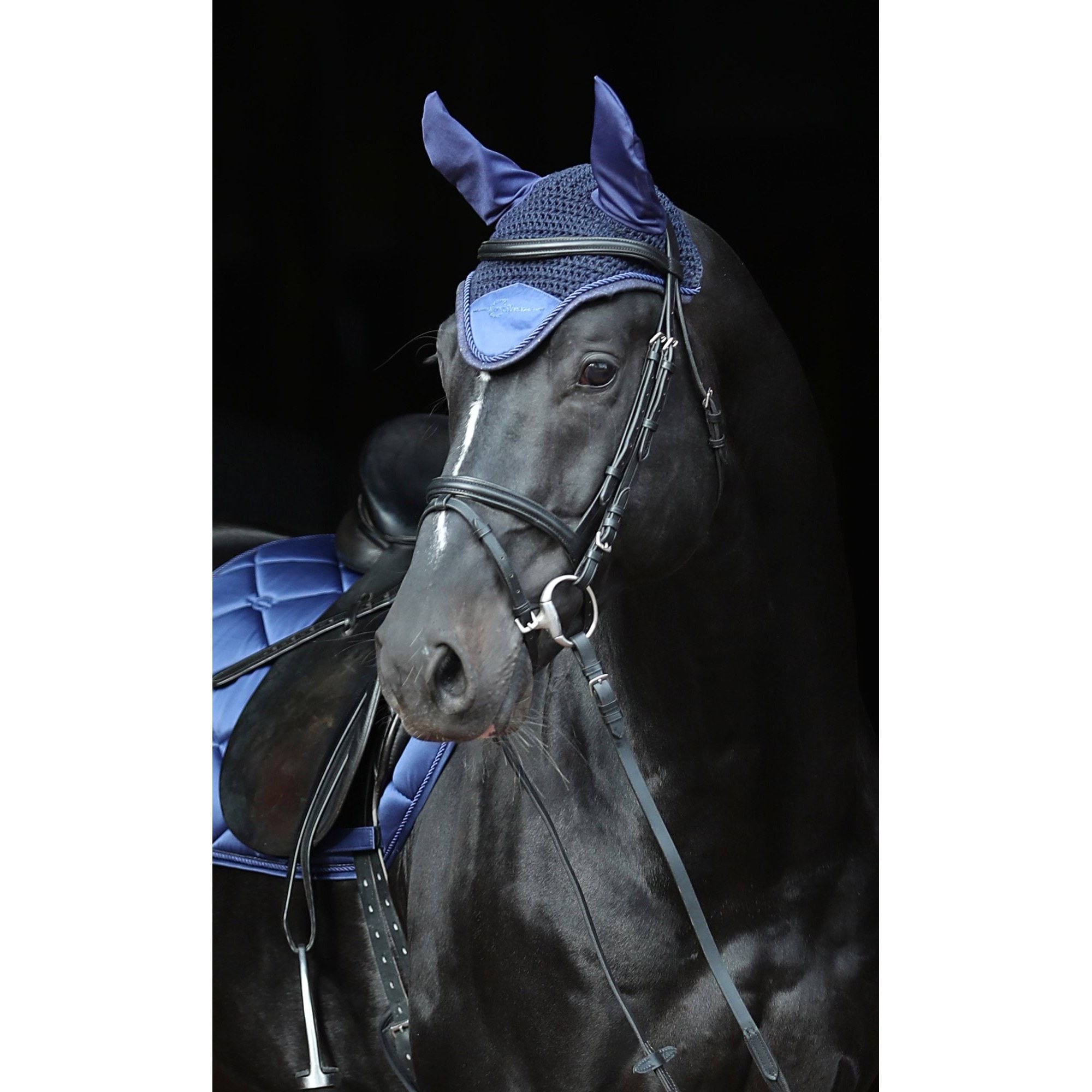 kerbl-3297774-g1 Covalliero Empara kõrvad, tumesinine, Cob/Full – pilt 2