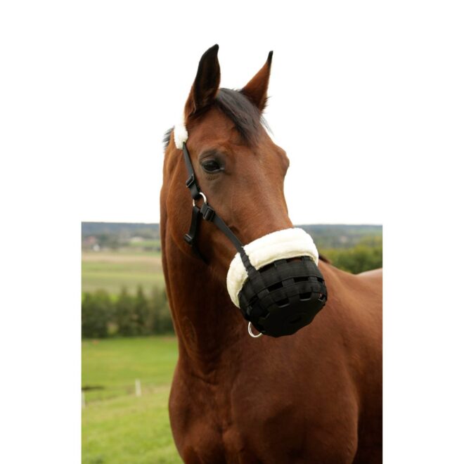 Covalliero koonukorv Teddy Fleece, must – pilt 2