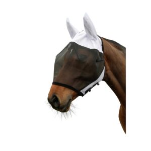 Kärbsemaskid ja -narmad