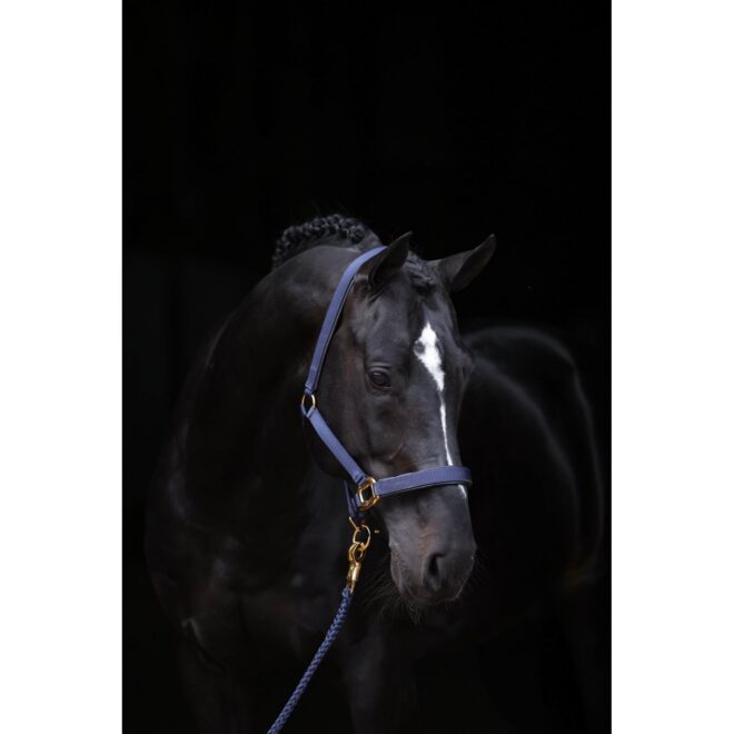 Covalliero TopLine päitsed, tumesinine – pilt 2