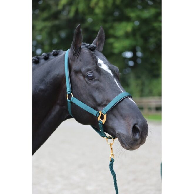 Covalliero TopLine päitsed, roheline – pilt 2