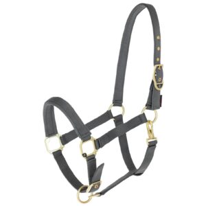 Classy horse halter, gray, Covalliero