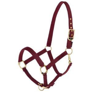 Classy horse halter, burgundy, Covalliero