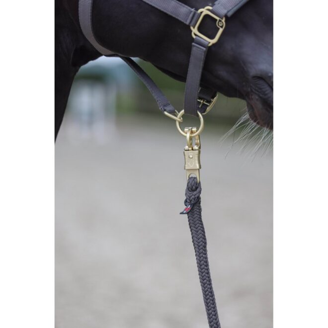 Covalliero Classy nöör, turvakarabiin, 200 cm – pilt 2