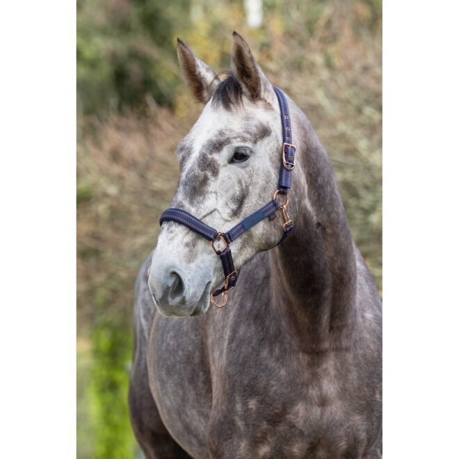Covalliero Royal päitsed, sinine/karamell – pilt 2