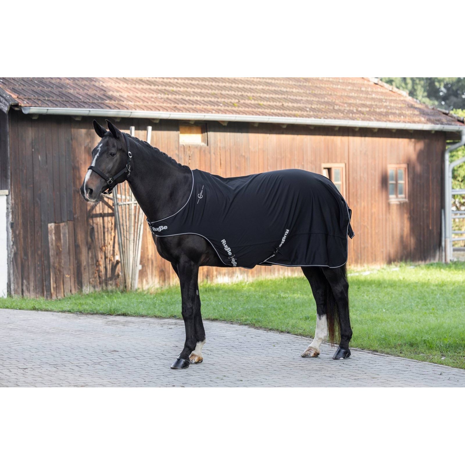 kerbl-pz-3228275-g3 Covalliero karussellikate, must – pilt 4