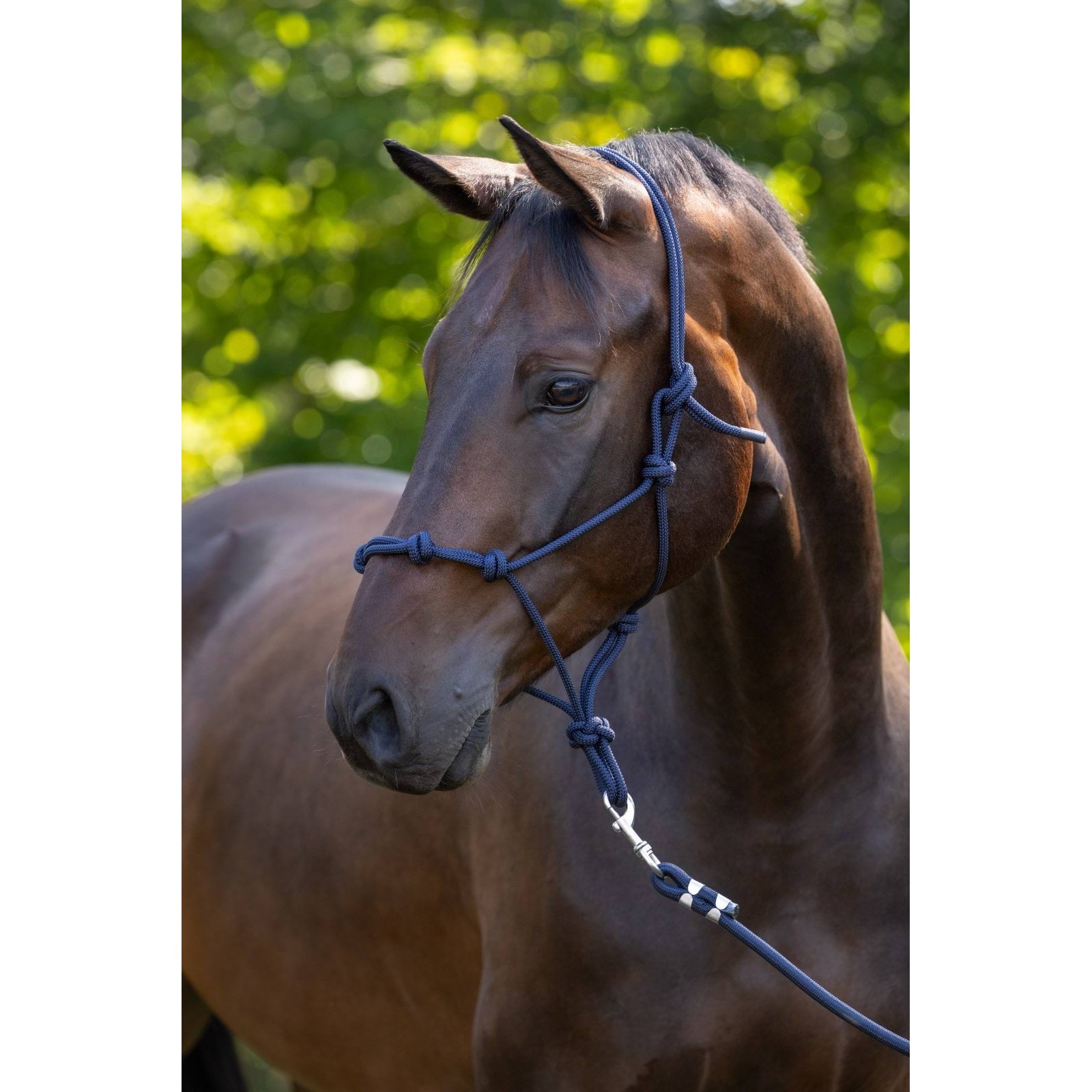 kerbl-pz-3230222-1 Rope halter, navy blue, Covalliero