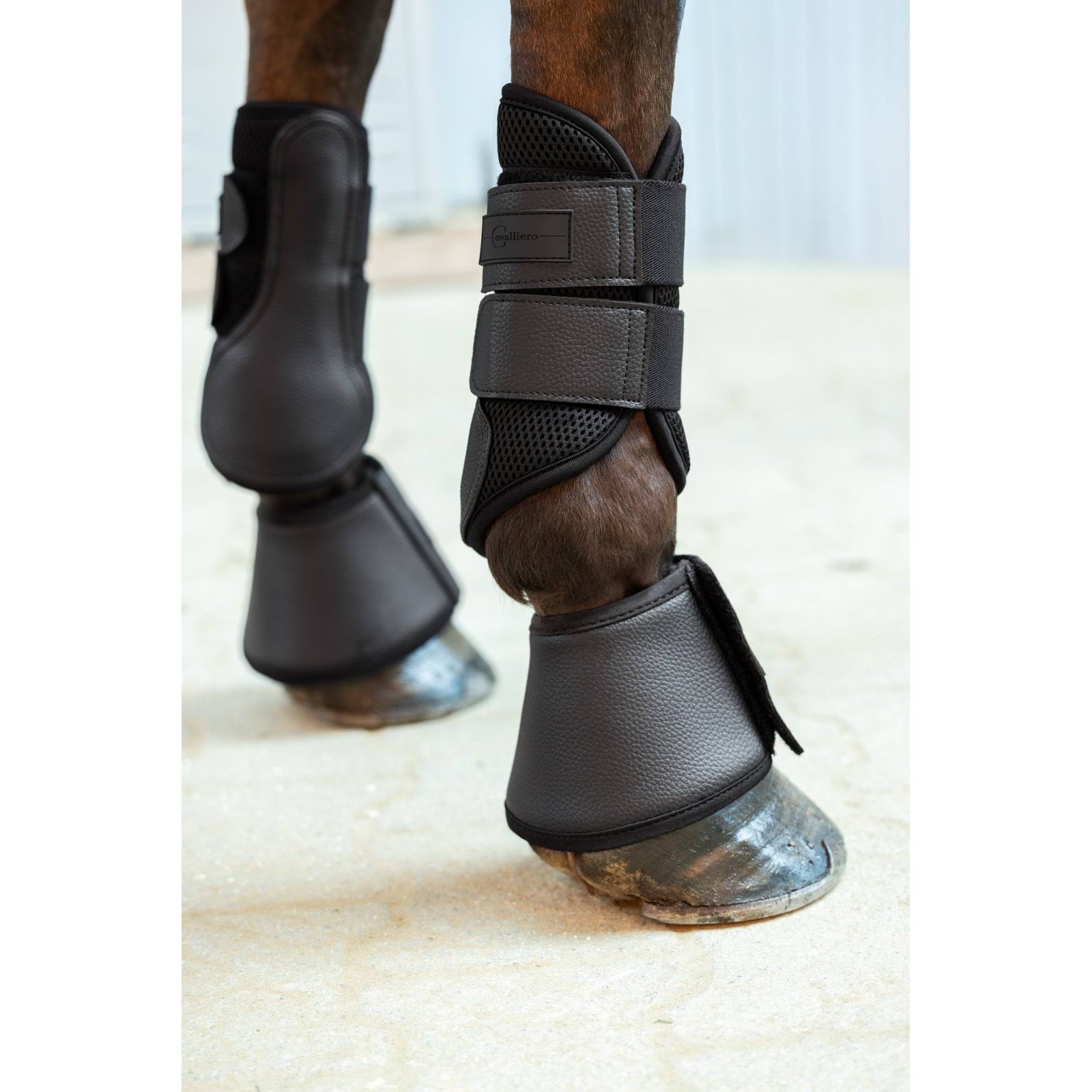 kerbl-pz-3230502-g1 Covalliero Avina kaitsmed, must – pilt 2