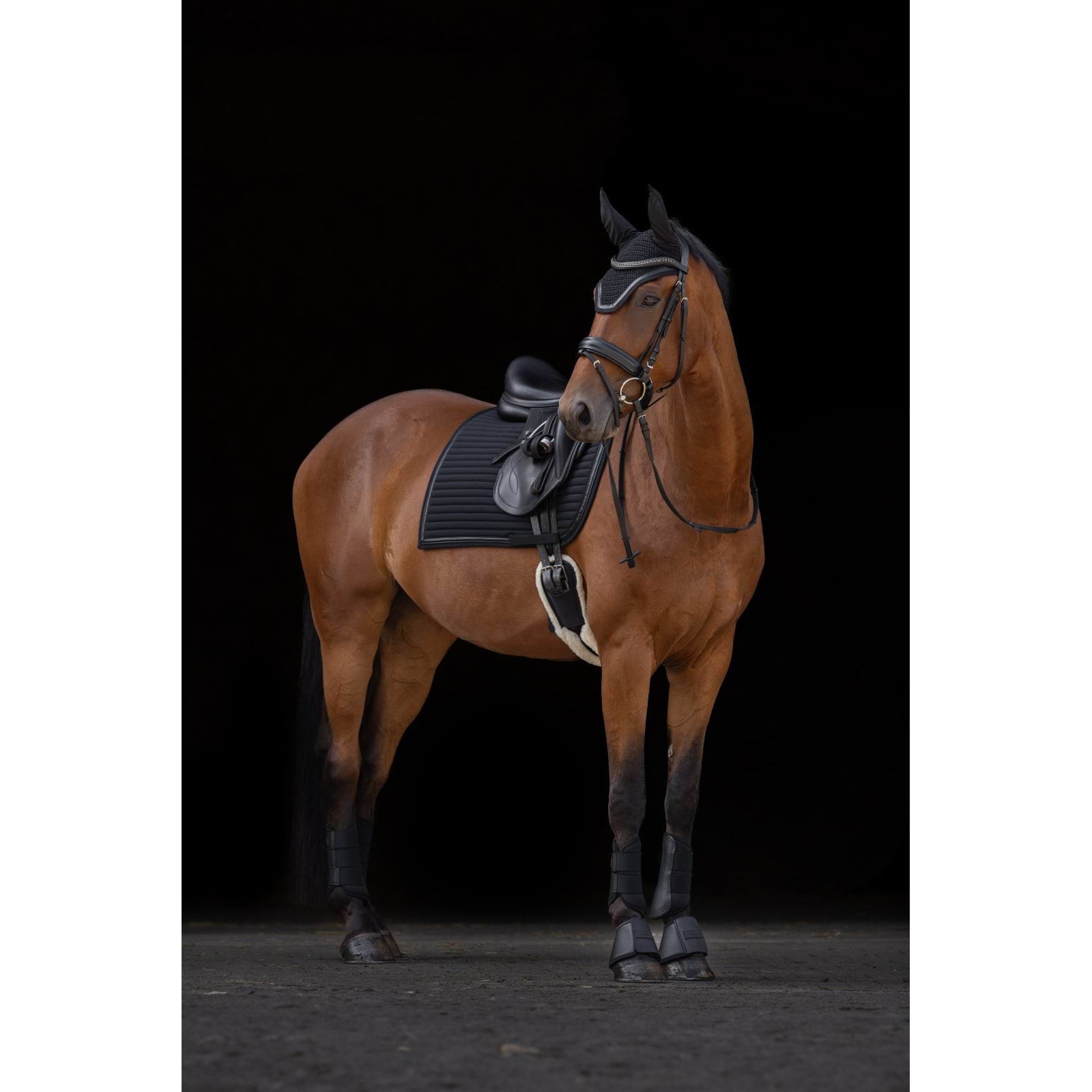 kerbl-pz-3230502-g2 Covalliero Avina kaitsmed, must – pilt 3