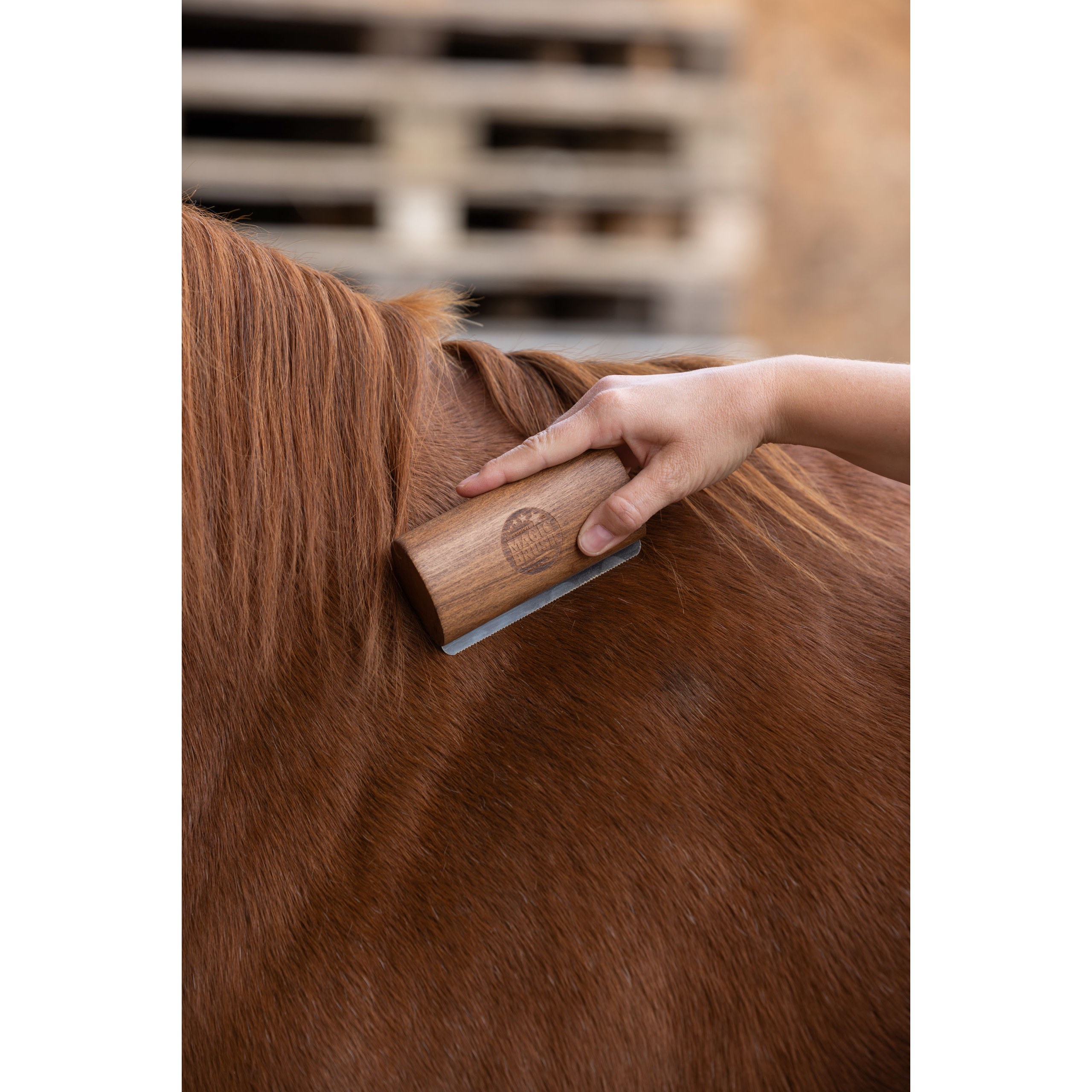 kerbl-pz-3232479-g1 MagicBrush Fellboy karvaeemaldushari, roostevaba teras – pilt 2