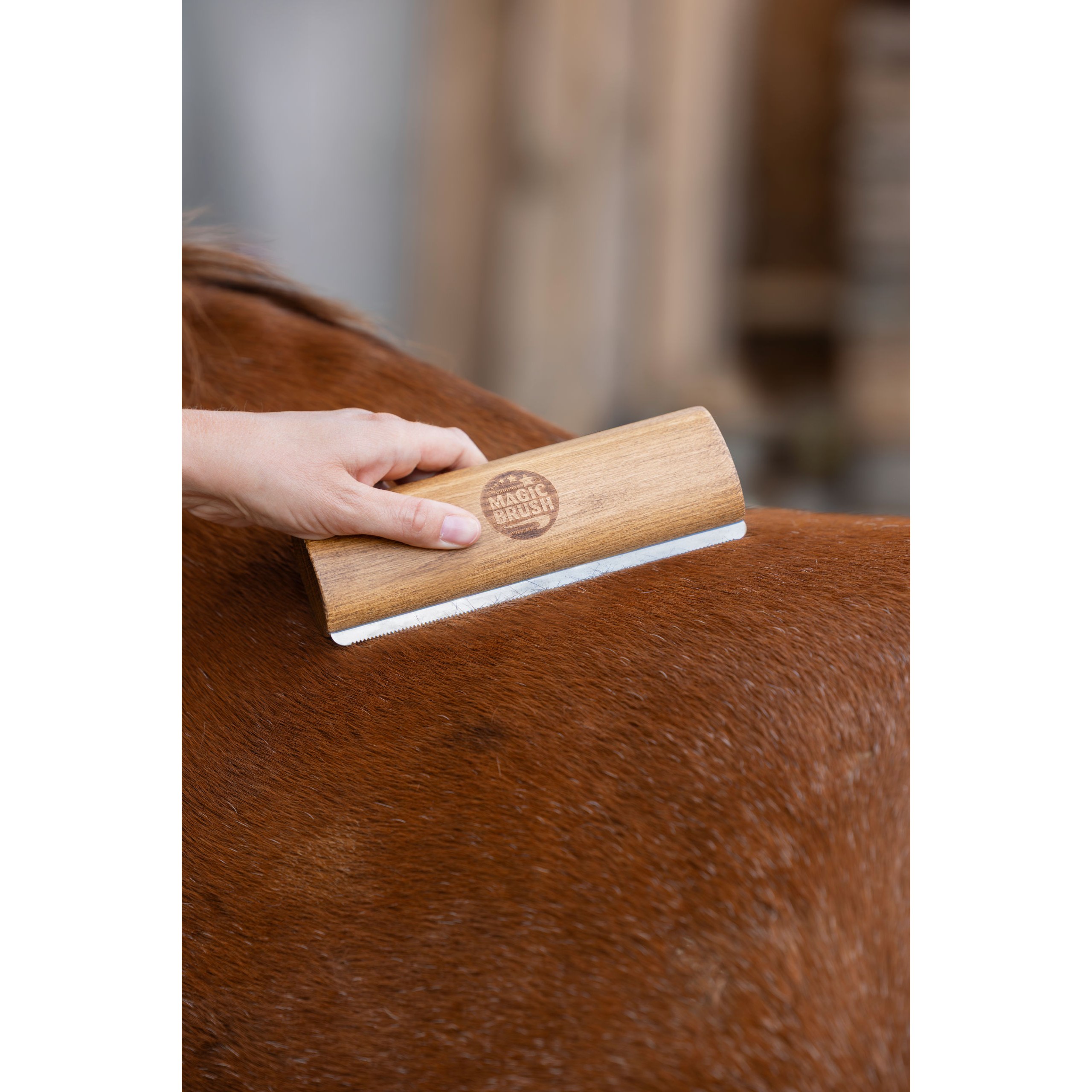 kerbl-pz-3232479-g3 MagicBrush Fellboy karvaeemaldushari, roostevaba teras – pilt 4