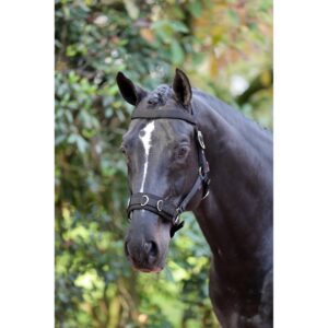 Horse cavesson, black, Covalliero