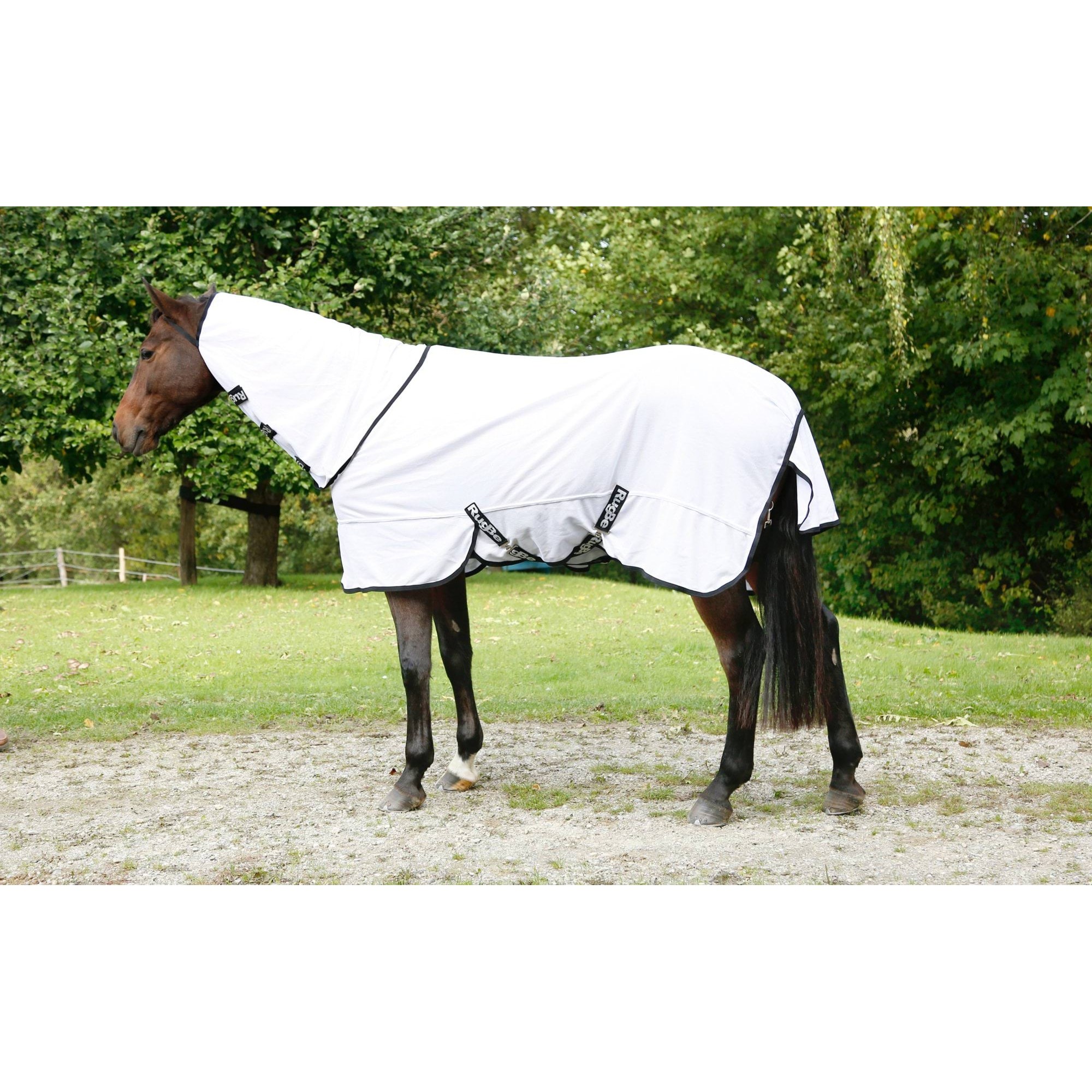 kerbl-pz-328962-g2 Covalliero RugBe SuperFly putukatekk, valge – pilt 3